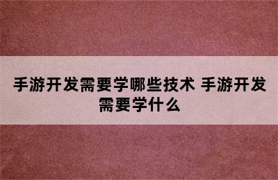 手游开发需要学哪些技术 手游开发需要学什么